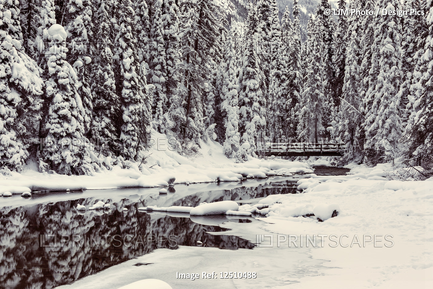 Bridge on Emerald River at Emerald Lake, Yoho National Park; British Columbia, ...