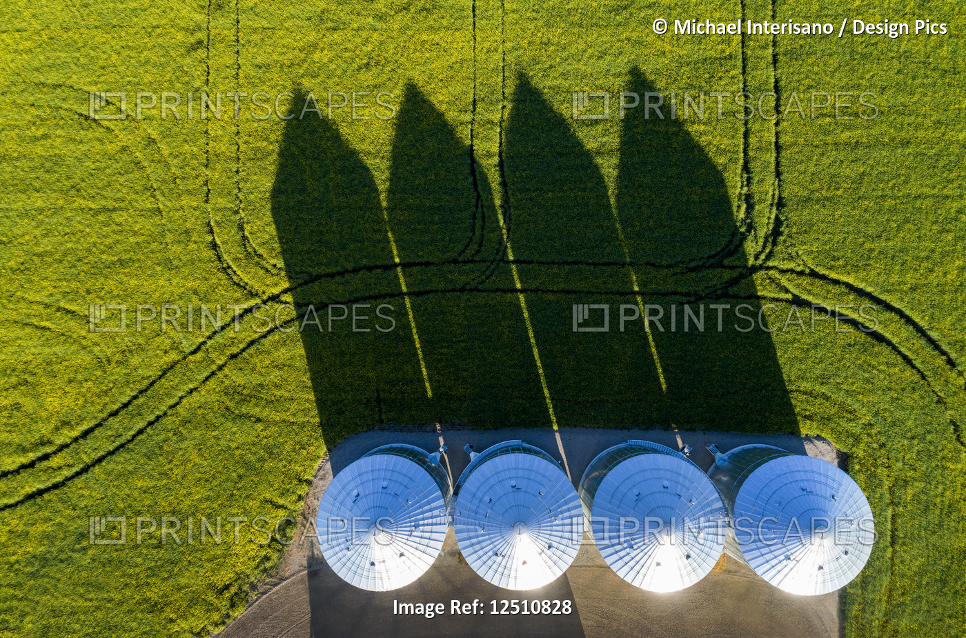 Directly above large metal grain bins in a green field of canola with long ...