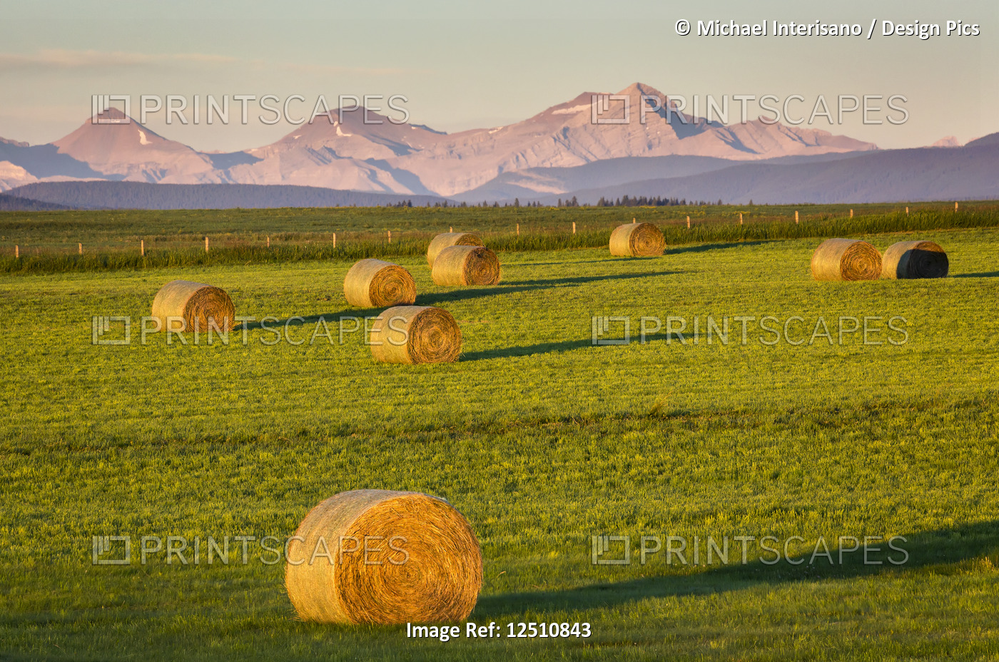 Hay bales in a cut field at sunrise with foothills and mountain range in the ...