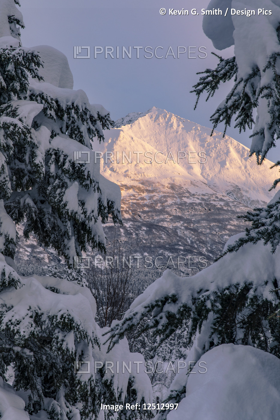 Sunlight illuminating a snow-covered mountains with evergreen branches laden ...