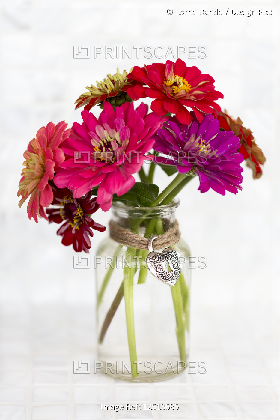 A variety of coloured Zinnia flowers in a simple glass vase with a decorative ...