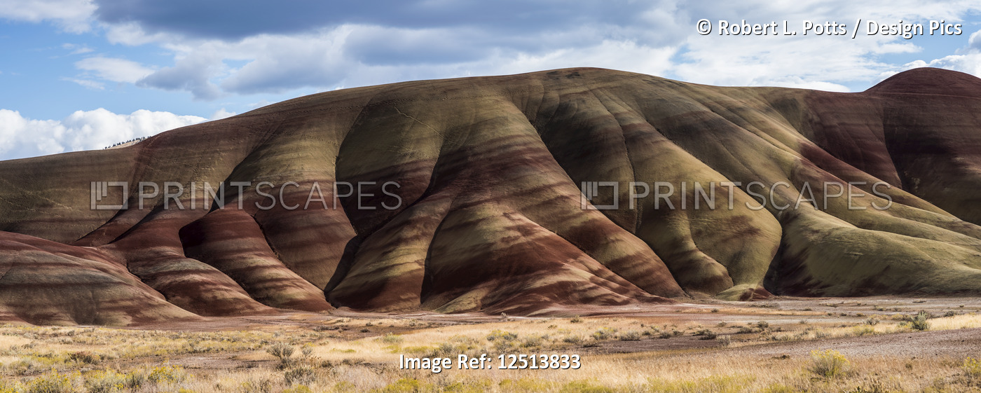 Colourful layers of minerals are exposed at John Day Fossil Beds National ...
