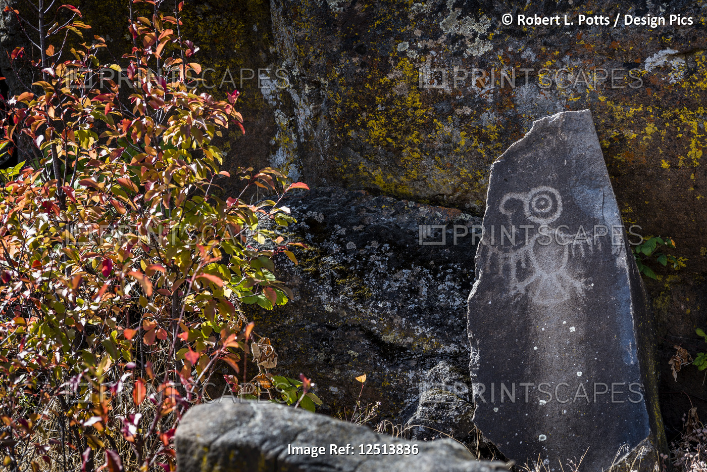 Petroglyphs found at Columbia Hills Historical State Park; Murdock, Washington, ...