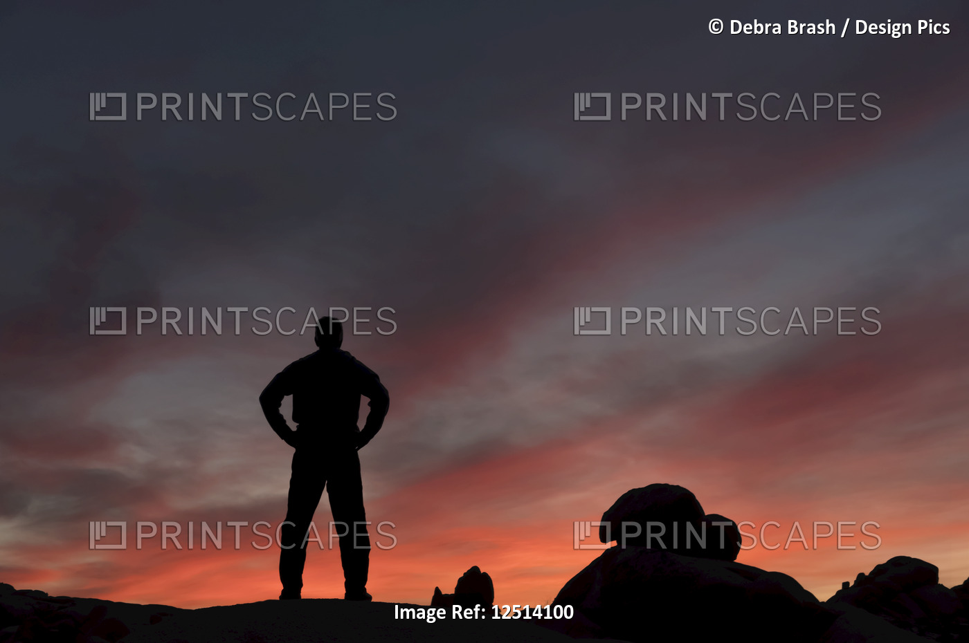 Silhouette of a man watching the sunset in Joshua Tree National Park; ...