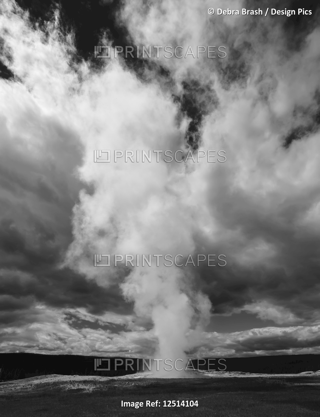 Old Faithful Geyser in Yellowstone National Park; Wyoming, United States of ...