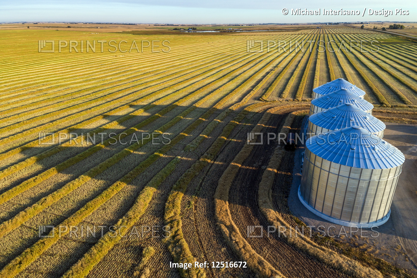 Aerial view of four large metal grain bins and canola harvest lines at sunset ...