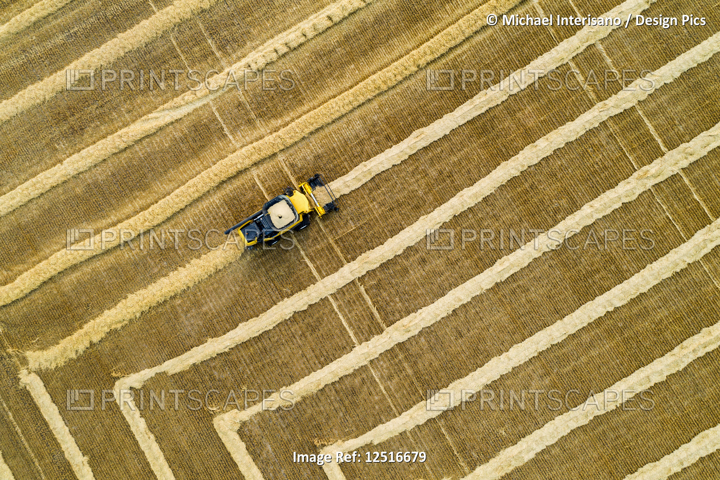 Aerial artistic view directly above a combine collecting lines of grain; ...
