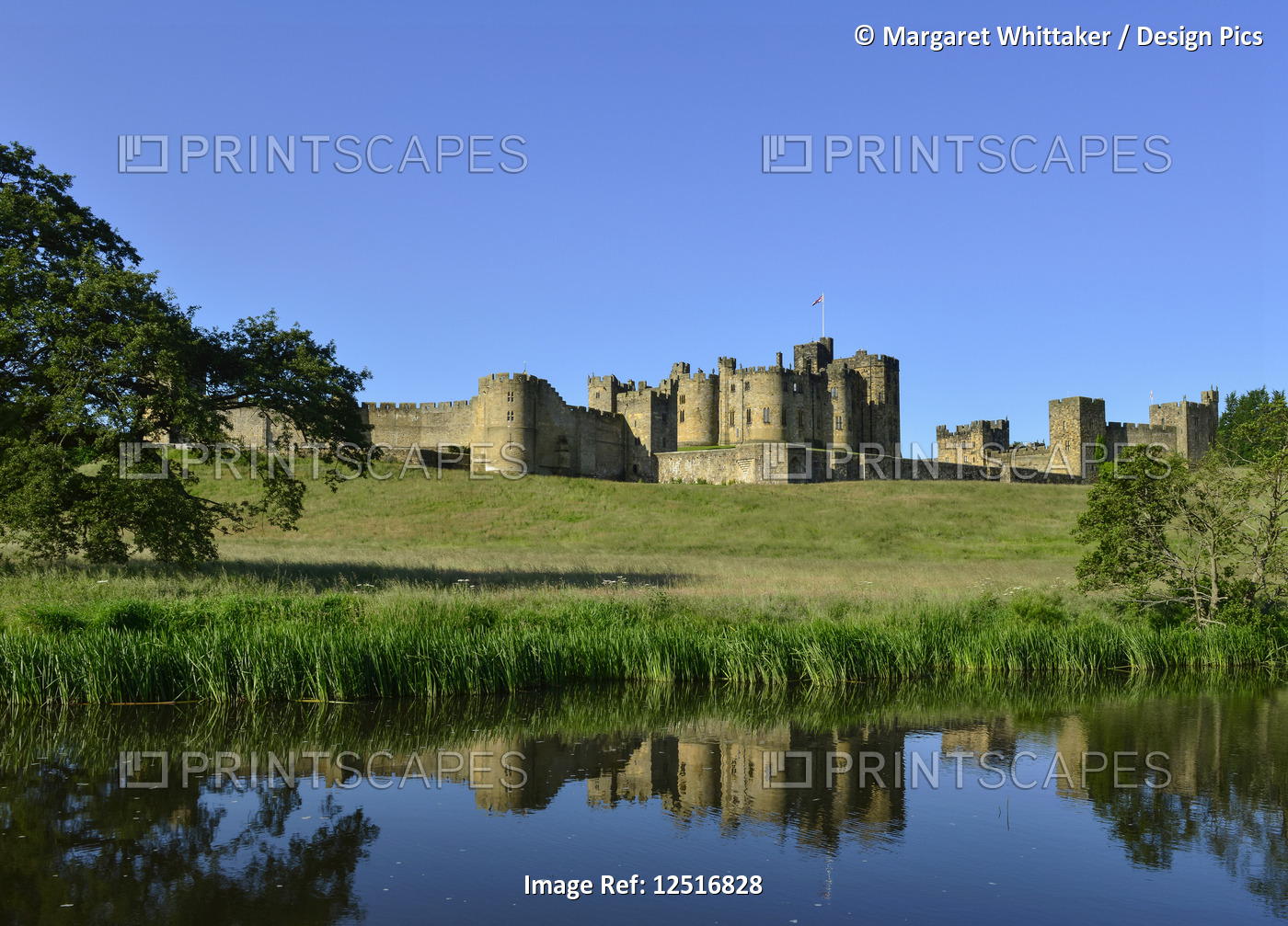 Alnwick Castle reflected on the River Aln; Alnwick, Northumberland, England