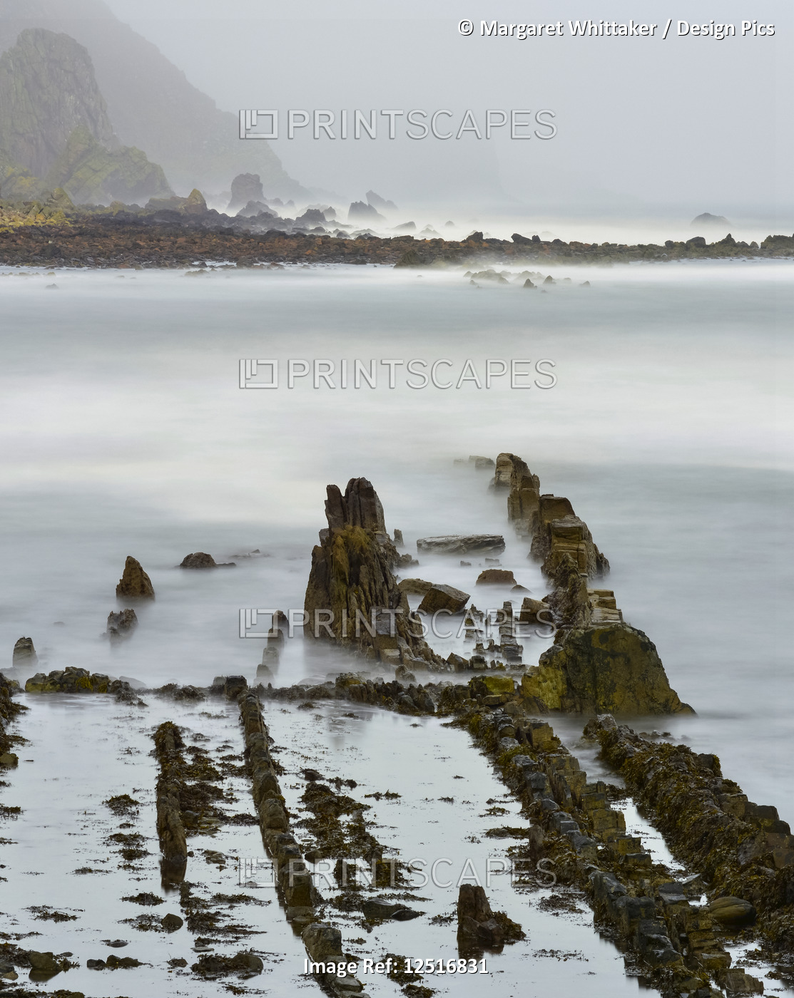 Rock formations in a shroud of mist along the coast of the North Sea; ...