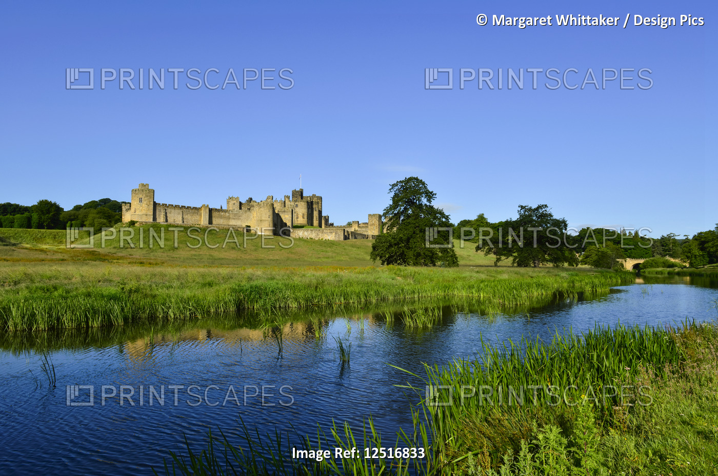 Alnwick Castle and Capability Brown parkland on the River Aln; Alnwick, ...