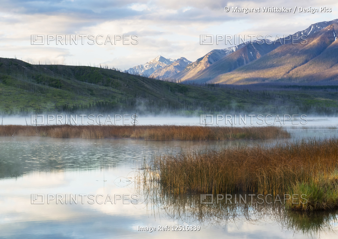 Mist rising over an alpine lake in the early morning, Jasper National Park; ...