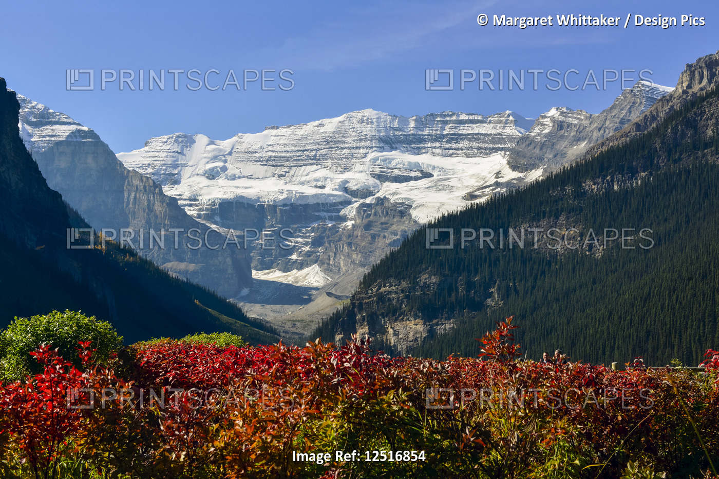 Lake Lousie glacier viewed from Chateau Lake Louise, Banff National Park; ...
