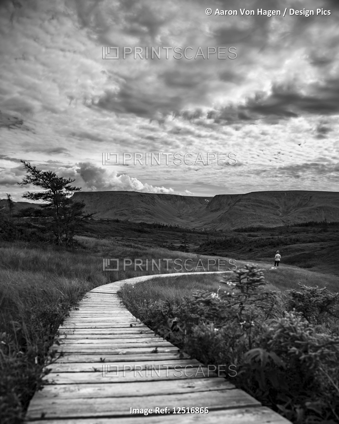 Black and white image of a wooden boardwalk stretching across a landscape with ...