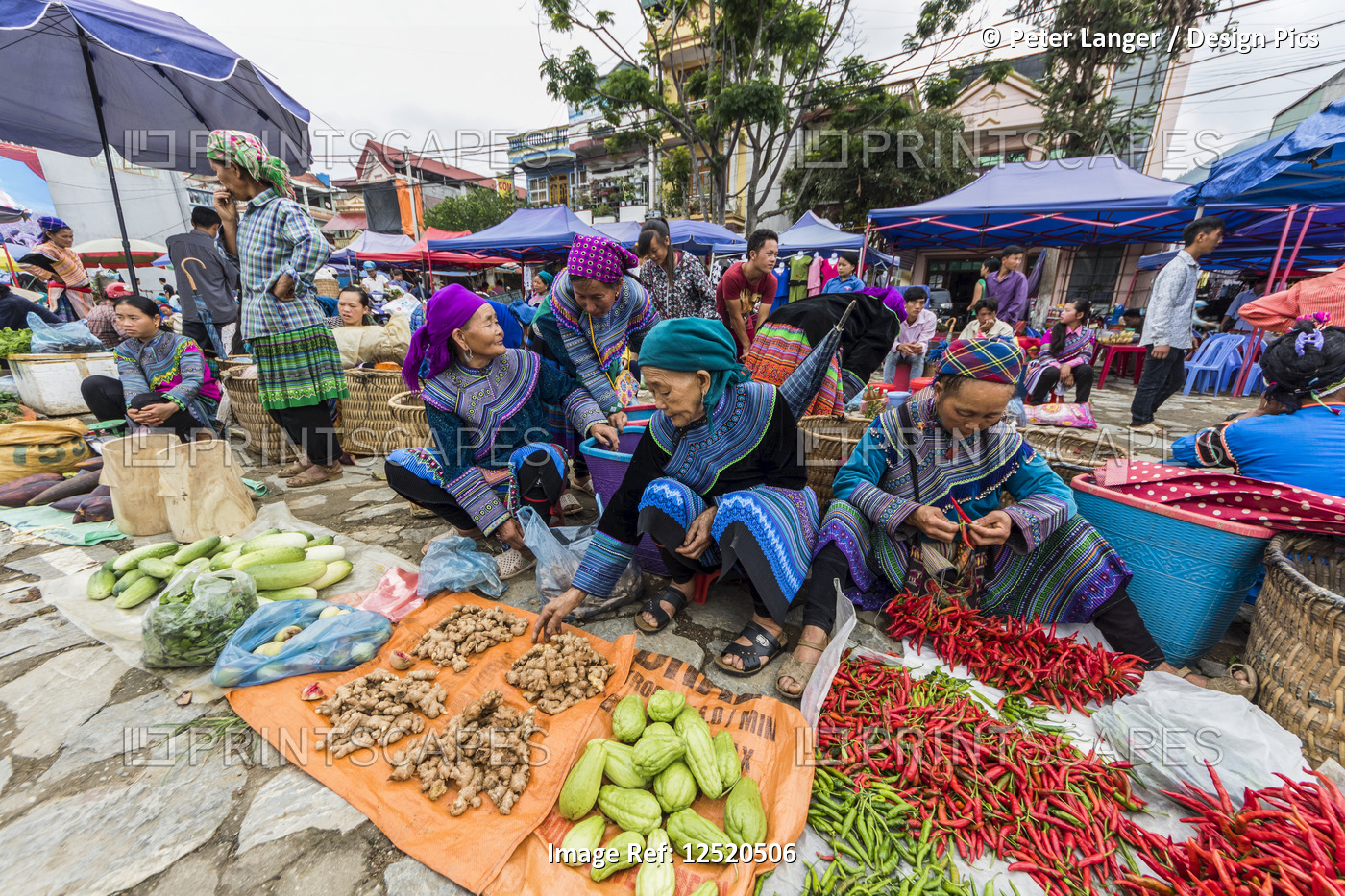 Hmong women at the Sunday market; Bac Ha, Lao Cai, Vietnam
