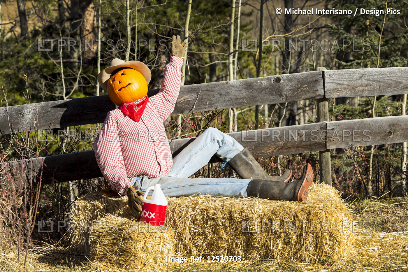 Humorous halloween mannequin sitting on hay bale with pumpkin head and wooden ...