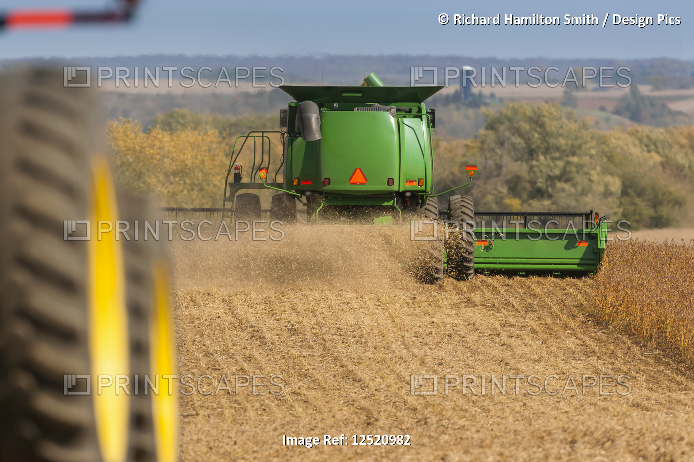 Combine picking beans during soybean harvest, near Nerstrand; Minnesota, United ...
