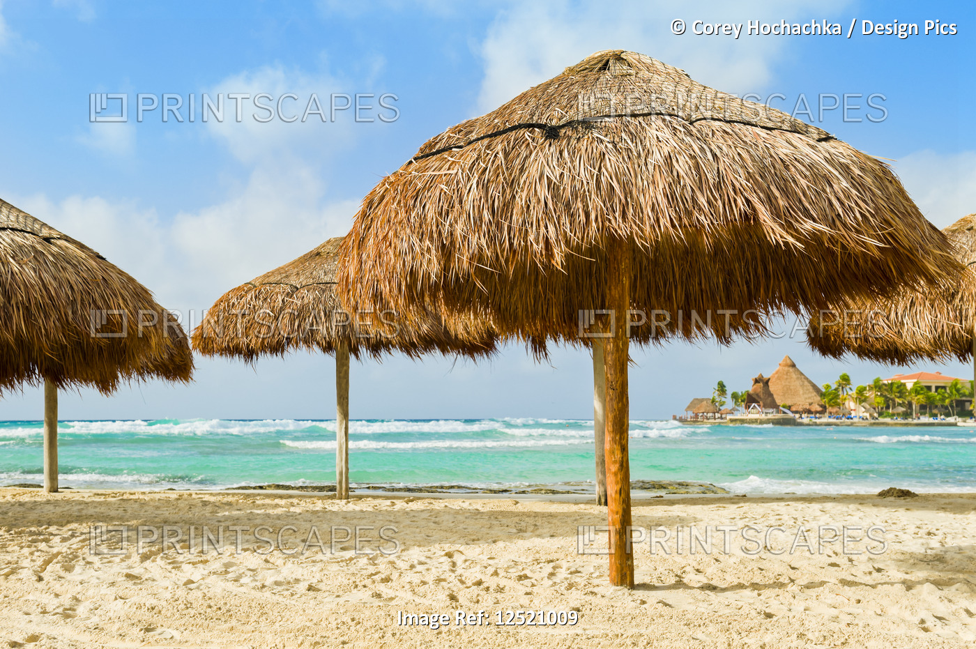 Grass beach umbrellas next to the Caribbean ocean; Playa Del Carmen, Quintana ...