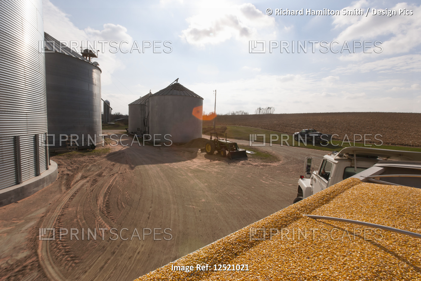 Grain truck loaded with corn at grain dryer and bin complex during corn ...