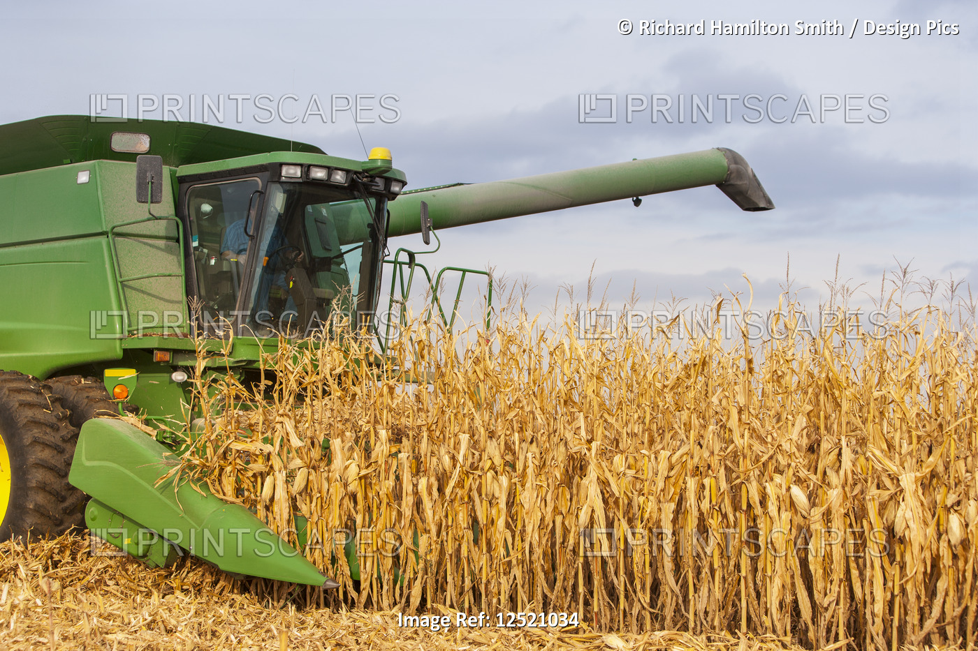 Combine picking corn during corn harvest, near Nerstrand; Minnesota, United ...