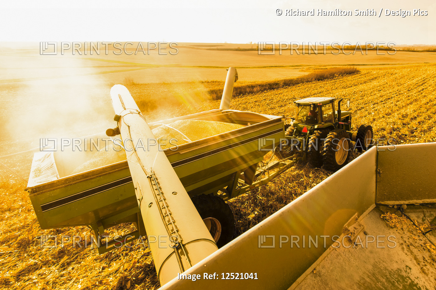Combine unloads into a grain wagon during corn harvest, near Nerstrand; ...