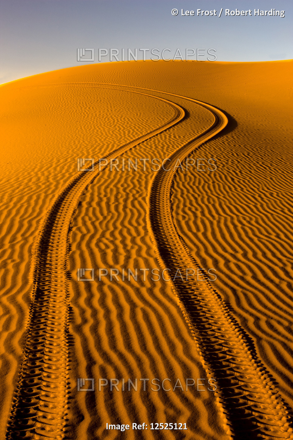 Fresh tyre tracks left by 4x4 recreational vehicle in the pristine sands of the Erg Chebbi sand sea 