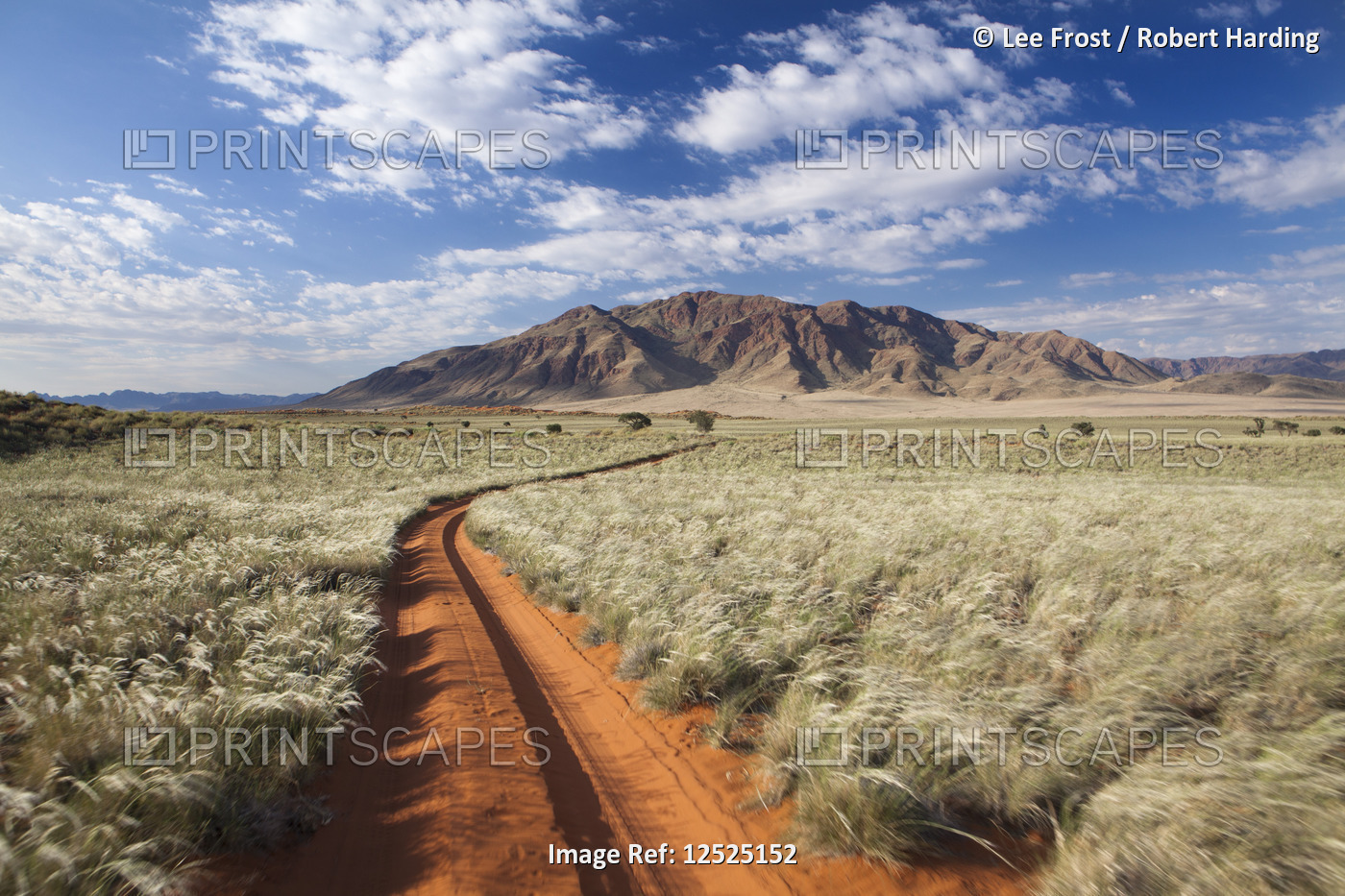 Sand road cutting across grassy landscape towards mountains, Wolwedans, Namib Rand Game Reserve, Nam