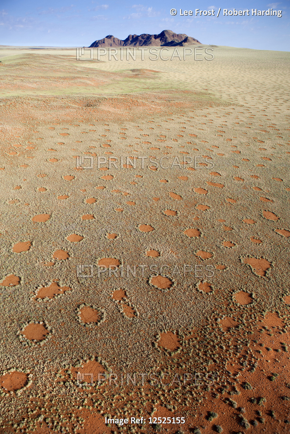 Aerial view from hot air balloon over magnificent desert landscape covered in Fairy Circles, Namib R