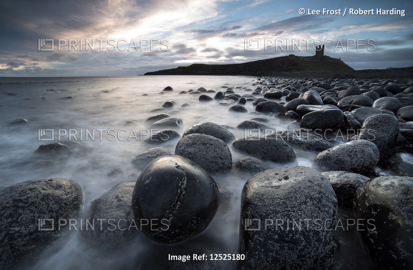 View at sunrise towards the ruin of Dunstanburgh Castle from the beach of basalt boulders known as T