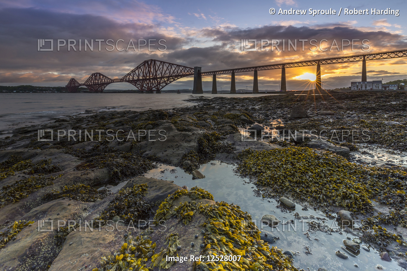 Sunrise through the Forth Rail Bridge on the Firth of Forth, South Queensferry, Edinburgh, Lothian, 