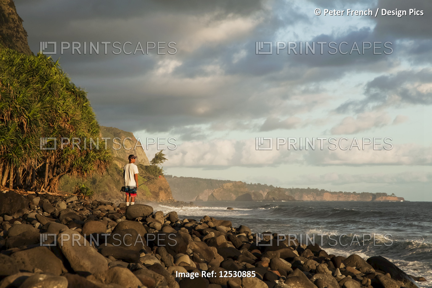 A fisherman stands fishing along the Hamakua coast, Lapahoehoe Nui Valley; ...