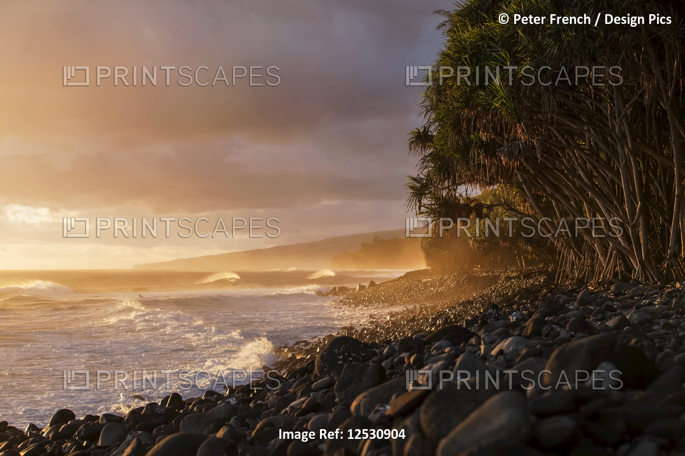Hamakua coastline at sunrise, Lapahoehoe Nui Valley; Island of Hawaii, Hawaii, ...