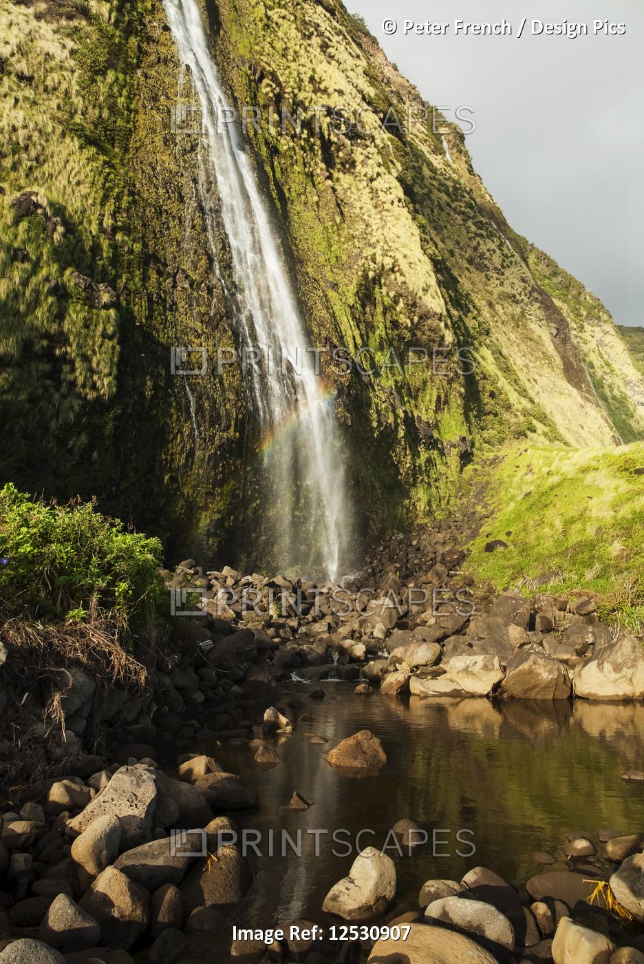 Punlulu Waterfall, Lapahoehoe Nui Valley, Hamakua Coast; Island of Hawaii, ...