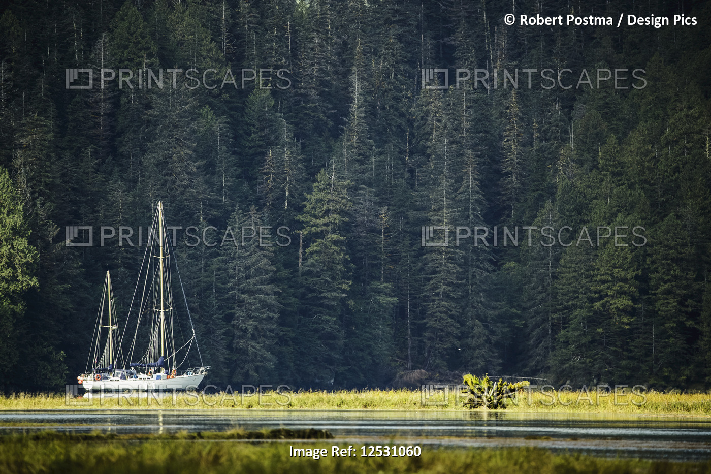 Sailboat in an estuary, Great Bear Rainforest; Hartley Bay, British Columbia, ...