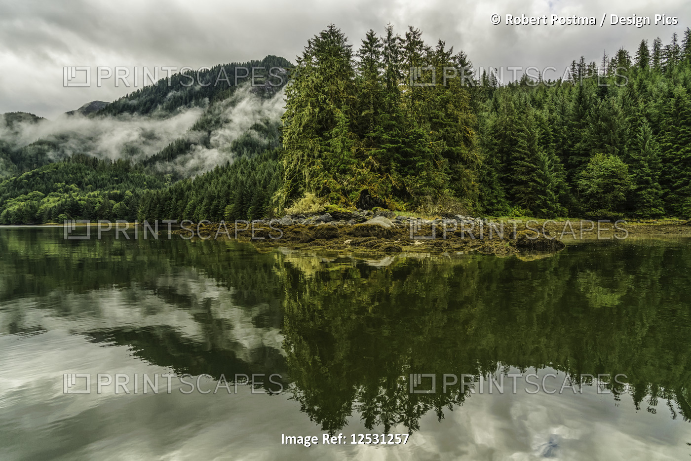 Moody landscape of mist over the Great Bear Rainforest; Hartley Bay, British ...