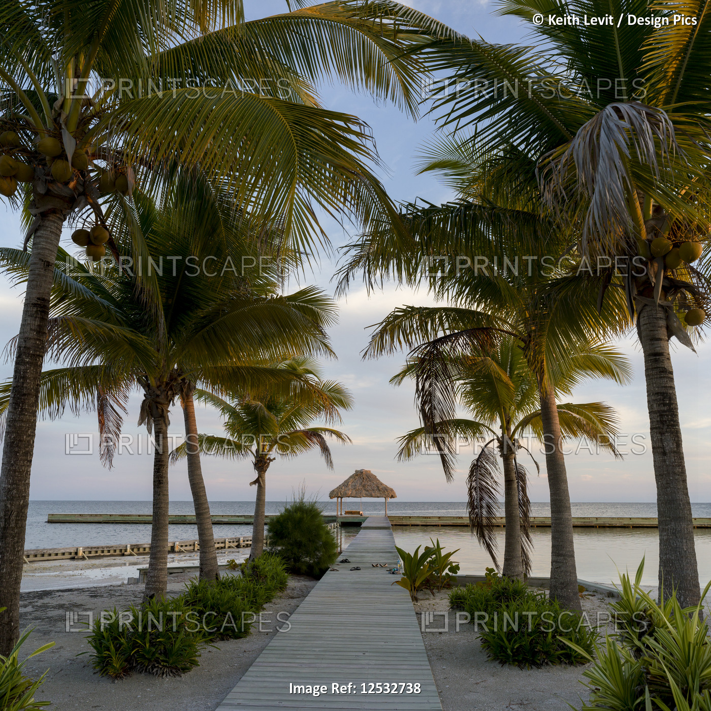 Boardwalk leading to dock lined with palm trees and a view out to the ocean; ...