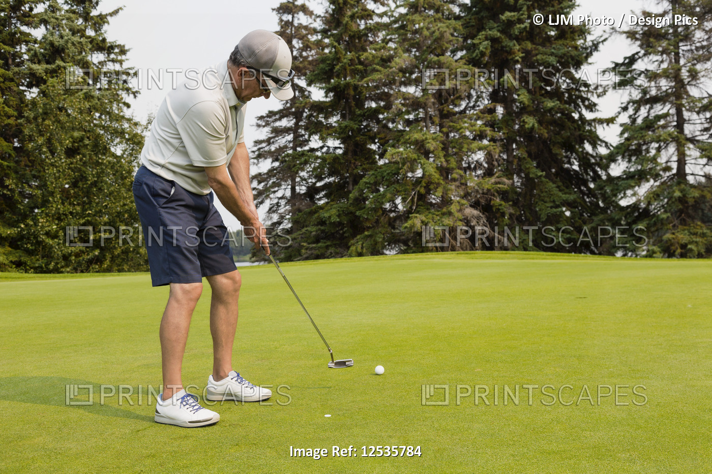 A mature male golfer uses his putter as he tries to sink a relatively long putt ...