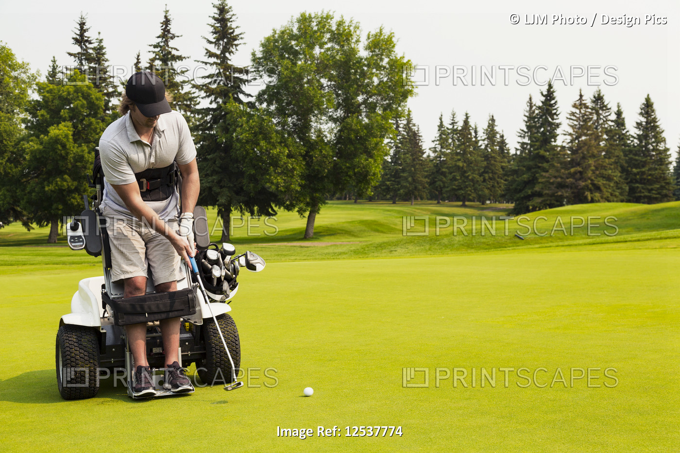 A physically disabled golfer putting a ball on a golf green and using a ...
