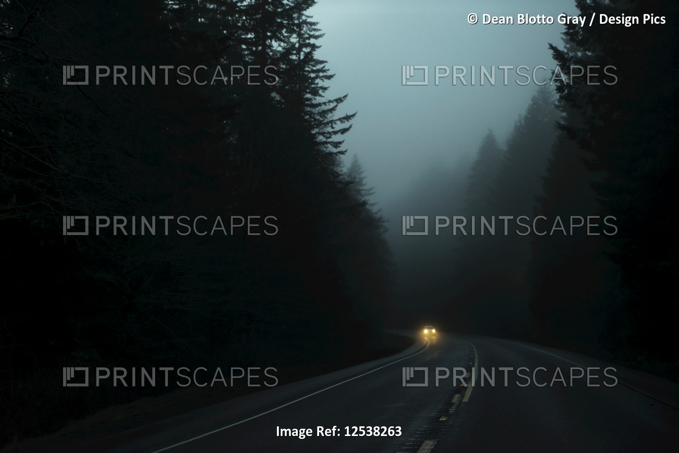 Foggy highway 26 at dusk with headlights on an approaching car; Oregon, United ...