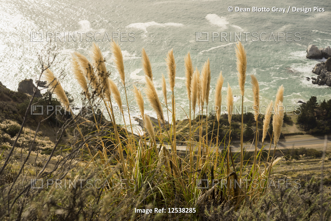 View of Cabrillo Highway and Big Sur, the rugged coastline and Pacific Ocean, ...
