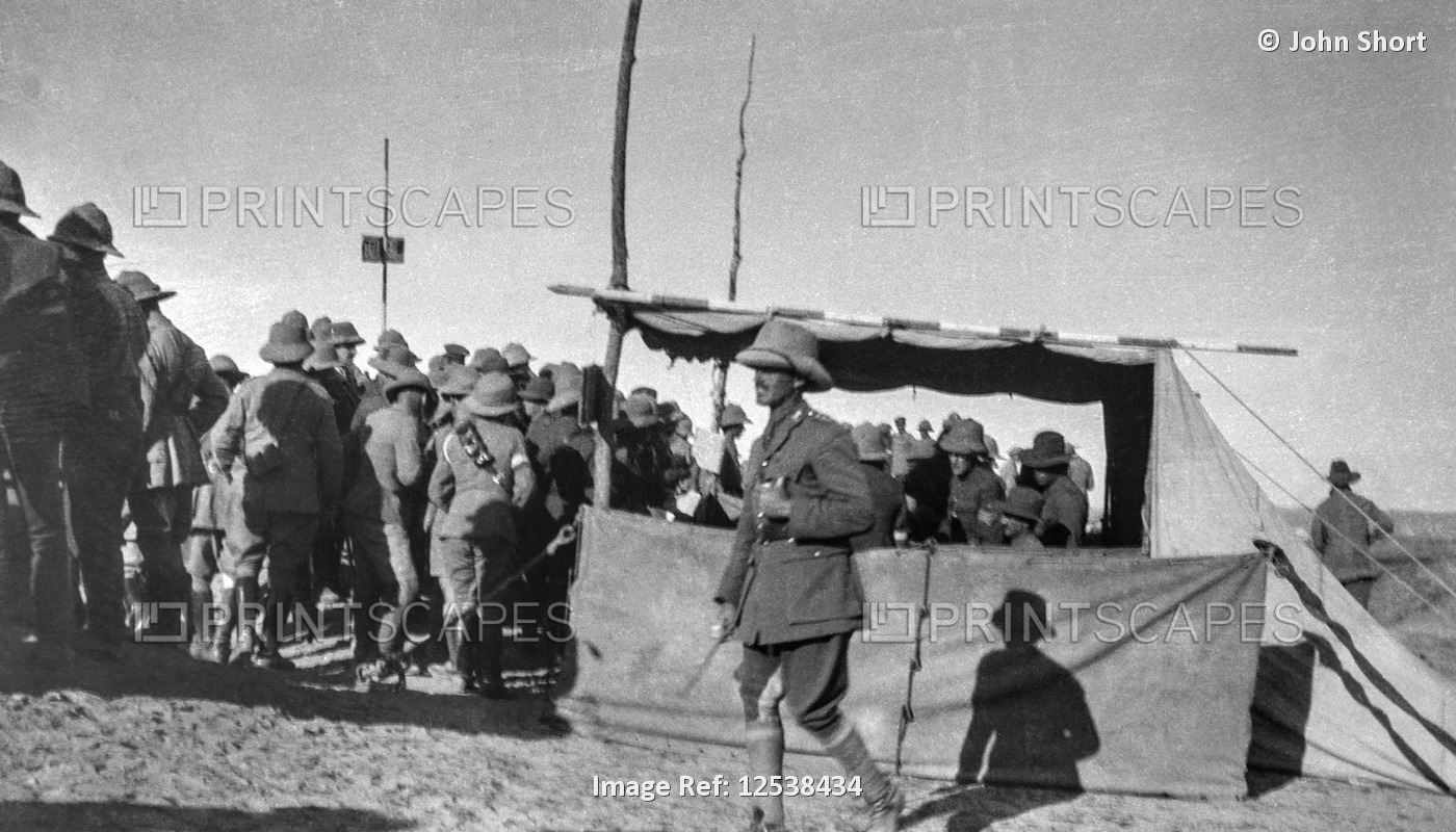 World War One photographs in Iraq (Mesopotamia). British Royal Engineers. Horse ...