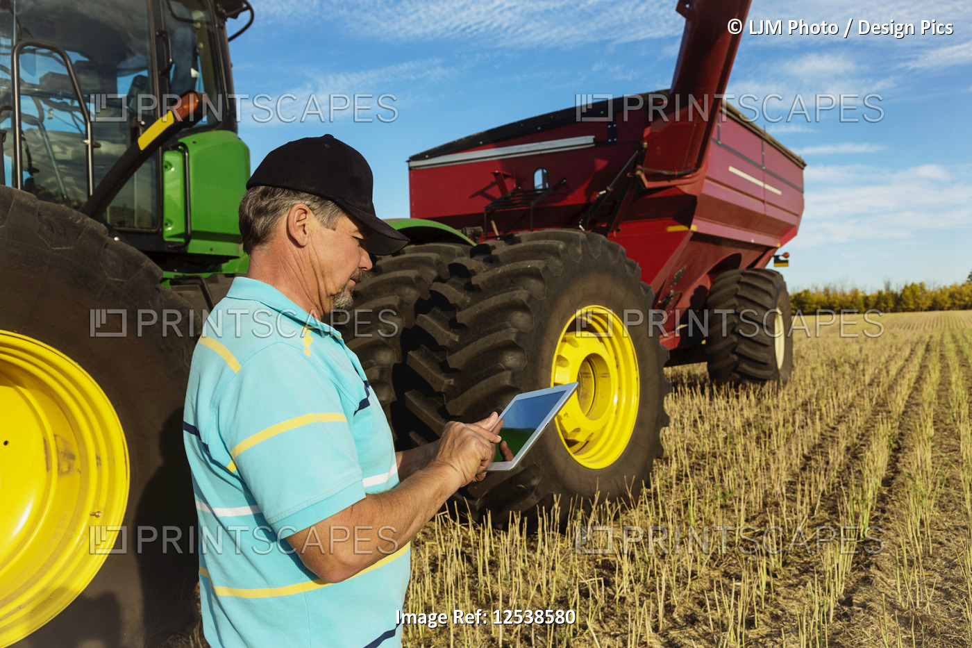 Farmer standing in a canola field beside a tractor with a wagon and using a ...
