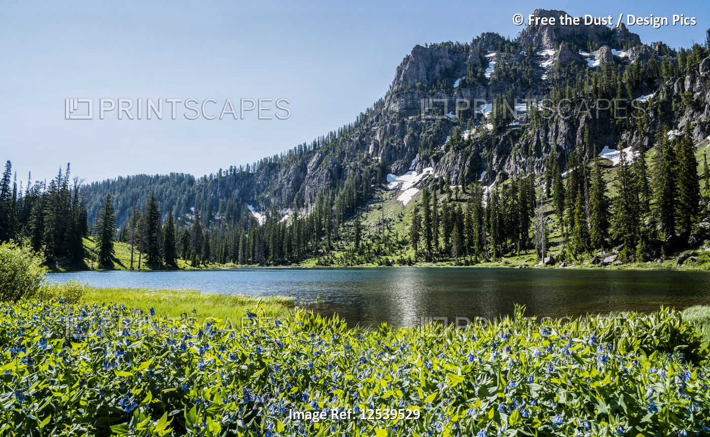 Tranquil alpine lake with wildflowers blooming in the foreground and a rugged ...