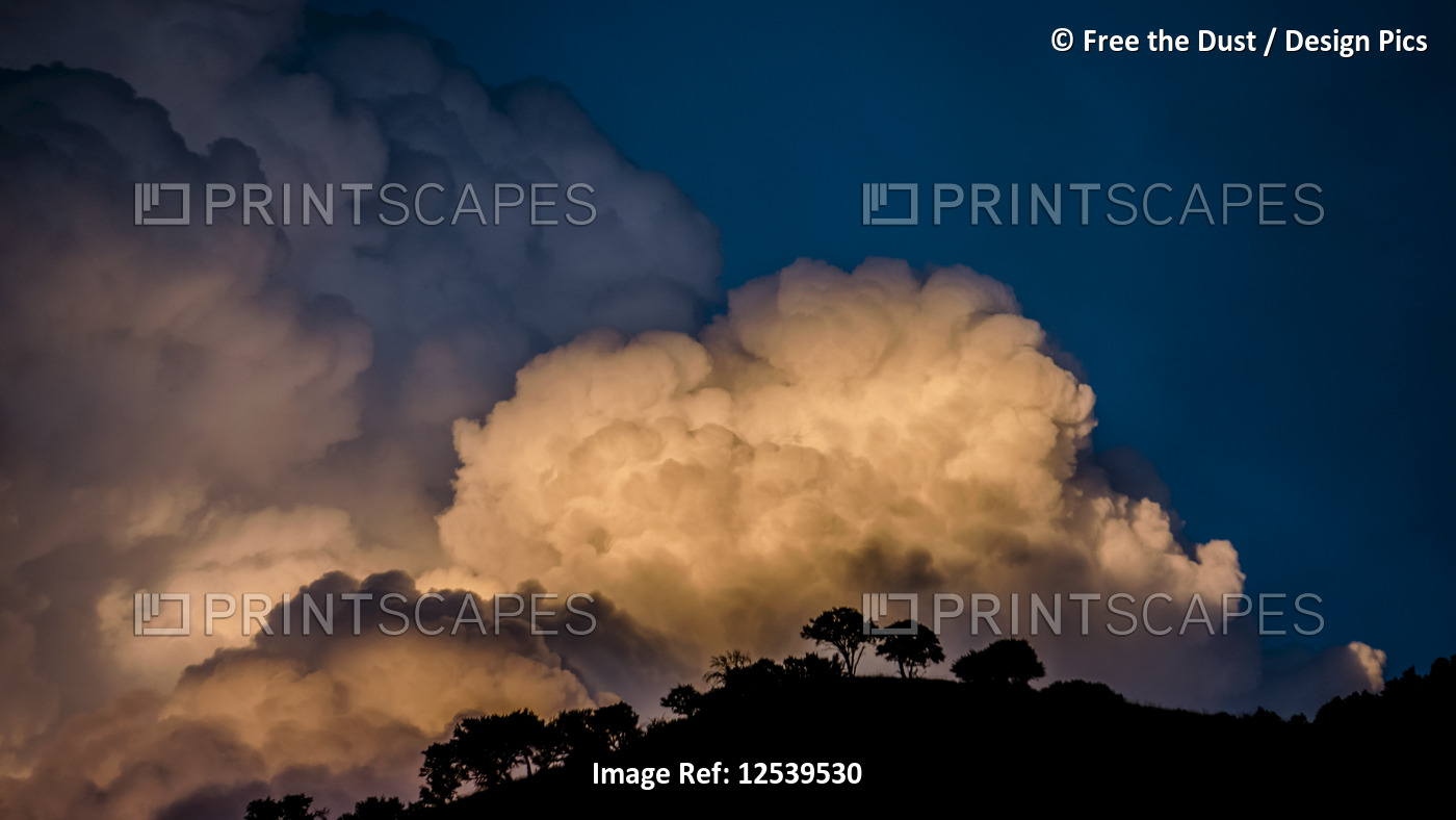 Billowing clouds glowing at sunset over silhouetted trees and hilltop; Utah, ...