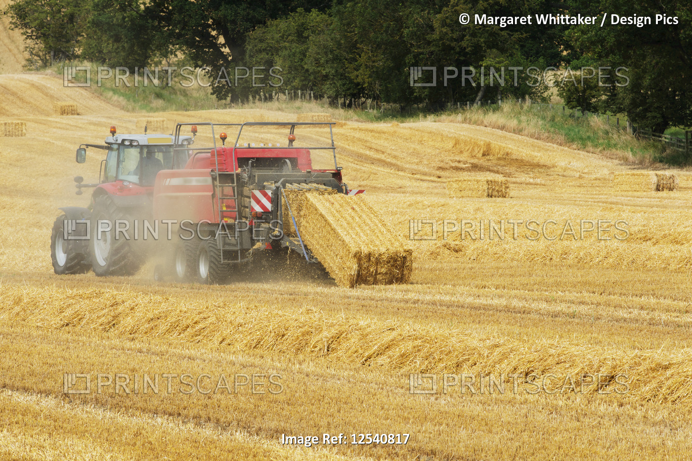 Hay baling in a field, near Belsay; Northumberland, England