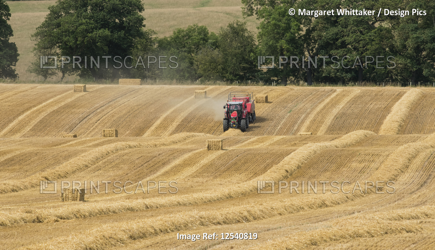 Farmer on red tractor making hay bales in a field, near Belsay; Northumberland, ...