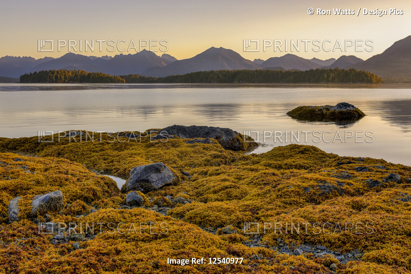 The sun rises over Vancouver Island  from Dodd Island off the West Coast of ...