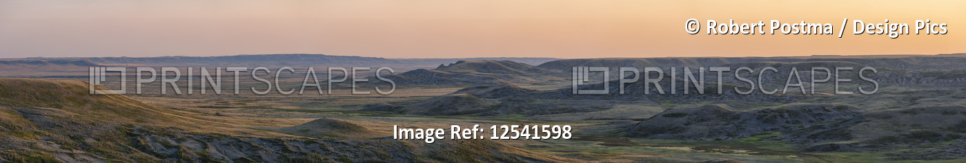 Panoramic of Frenchman Valley in Grasslands National Park at sunset; ...