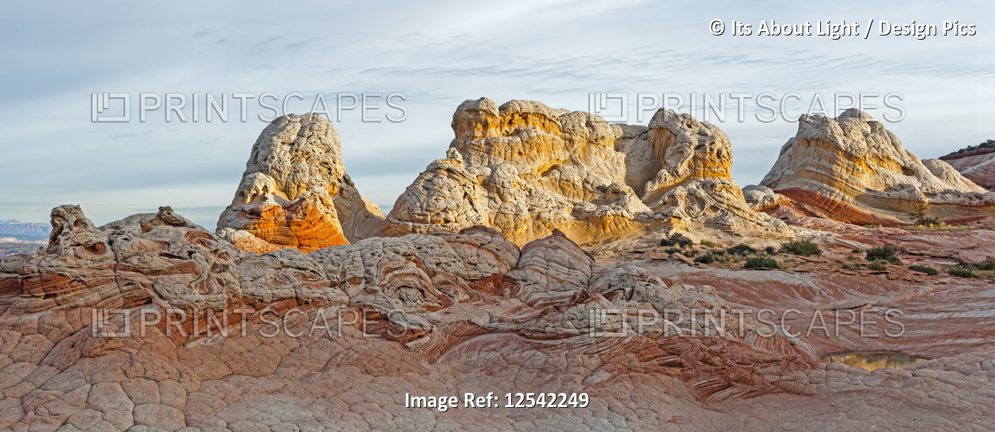 Rugged rock formations in the early morning; White Pocket, Utah, United States ...