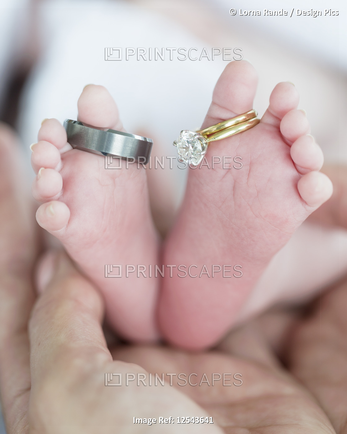 Wedding rings on a newborn babies toes; Surrey, British Columbia, Canada