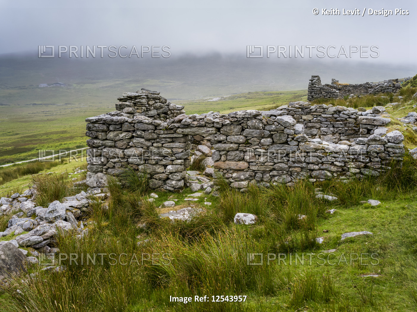 Broken stone wall in a deserted village, Achill Island; Keel, County Mayo, ...